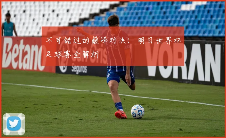 不可错过的巅峰对决：明日世界杯足球赛全解析